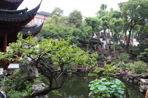 Shanghai0020