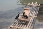 Guilin0019