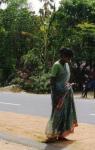 CI_inde14