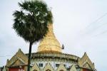 CI_Burmayangoon